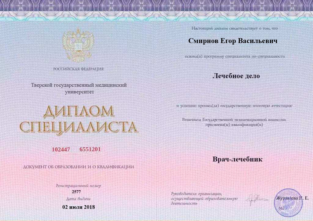 Диплом специалиста Смирнова Егора Васильевича